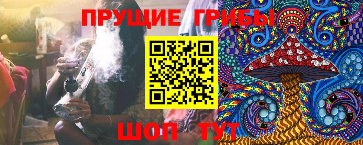 Псилоцибиновые грибы прущие грибы  Вход с VPN  Краснокаменск 