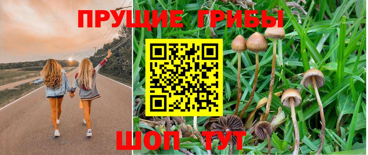 Псилоцибиновые грибы MAGIC MUSHROOMS Краснокаменск